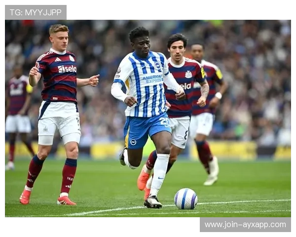 布莱顿签约荷兰组织中场